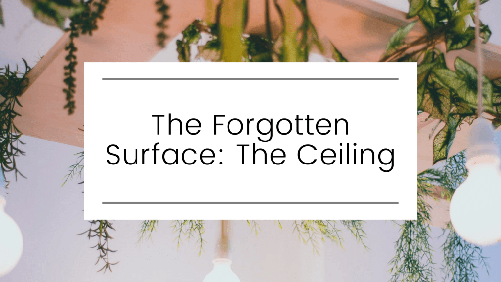 The Forgotten Surface: The&nbsp;Ceiling